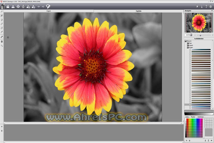 Franzis COLOR Professional 2025 v8.23.04078 Latest Software For PC 