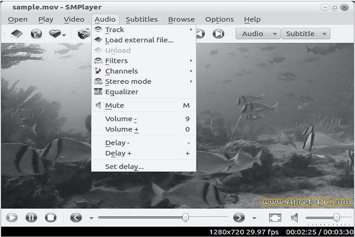 SMPlayer 2025 v24.6.0 [Latest Software] Full Version 