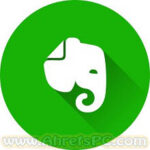 Evernote 2025 v10.141.5.41001 [Lastest Software]